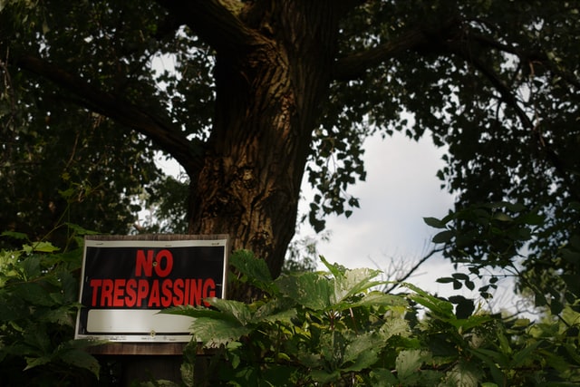 a no trespassing sign placed on a tree