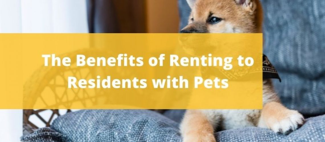 Five Star Property Management residents with pets